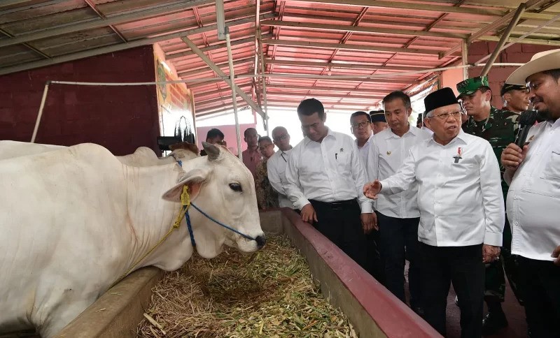 Kick Off Gerakan Nasional Ketahanan Pangan di Kabupaten Tanah Laut, Tingkatkan Produksi Beras