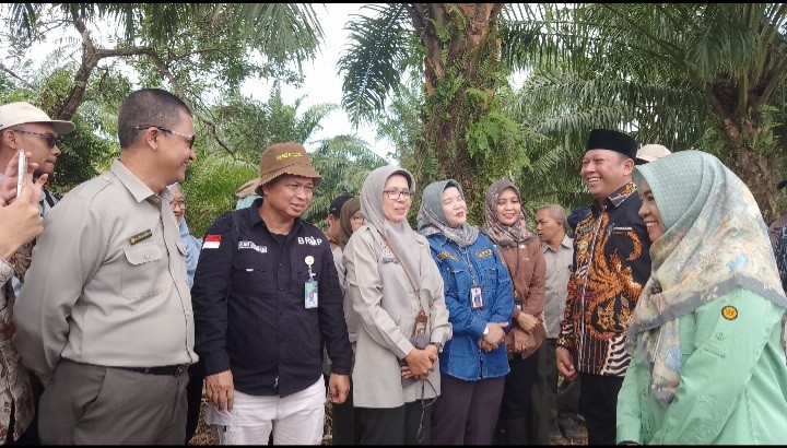 Menuju Swasembada Pangan, Kementan Dorong Pemkab Barito Kuala Lakukan Percepatan Tanam