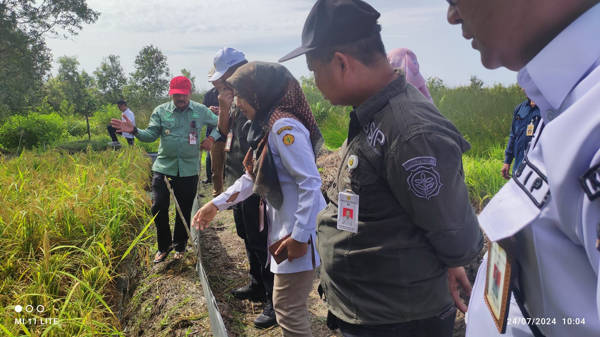 Kementan bersama DPKP Kalsel Panen Padi Apung di Kabupaten Barito Kuala