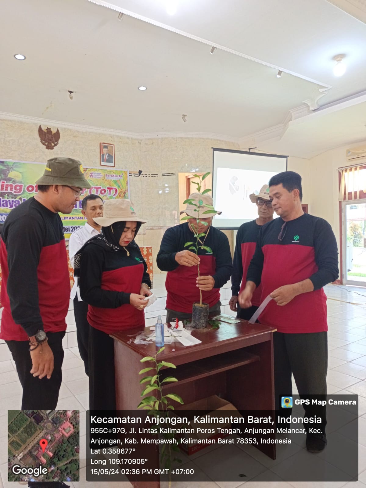 BBPP Binuang laksanakan Training of Trainers Budidaya Tanaman Jeruk dan Padi Bagi Penyuluh ASN Program ICARE di Kalimantan Barat