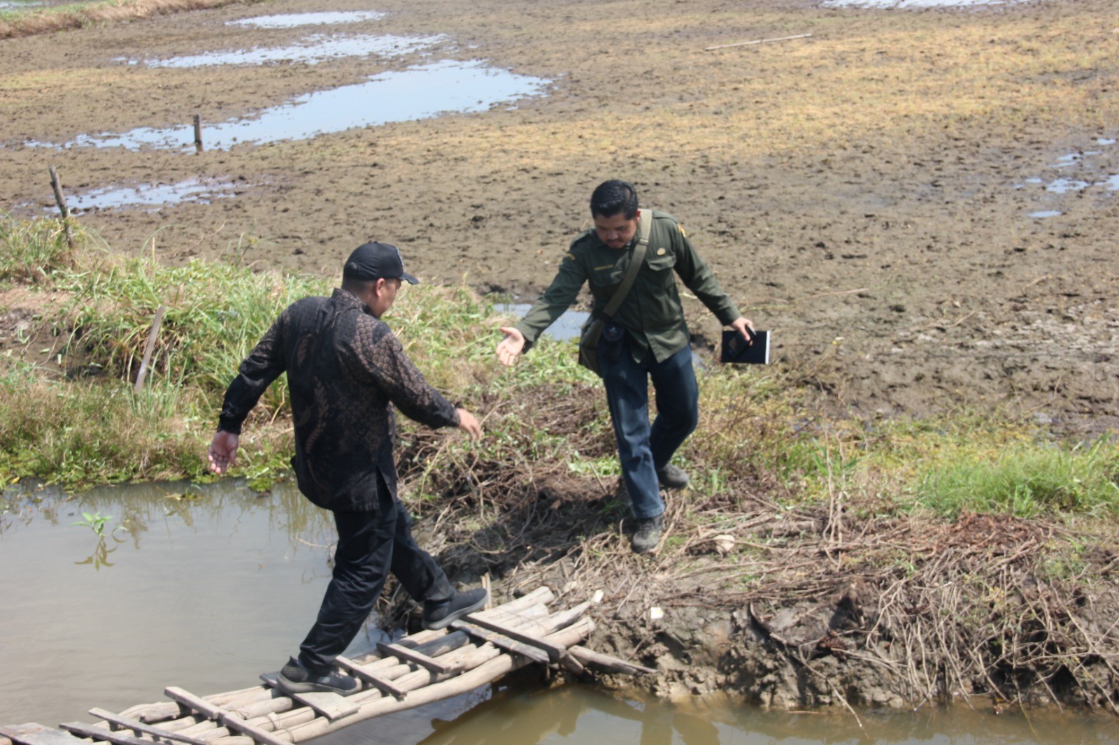 Demi Capai Swasembada, Tenaga Ahli Menteri Pertanian Fadlan Ahmad Susur Jembatan Suram Tanam Sawah Baru di Hulu Sungai Selatan