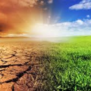 Pertanian Yang Adaptif Terhadap Perubahan Iklim