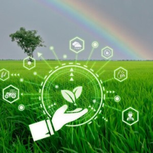Agribisnis Modern Berbasis Smart Farming