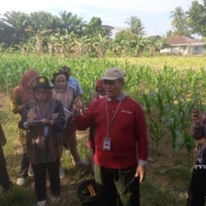 Genjot Produksi Pangan, Kementan Latih Penyuluh Pertanian Produksi Biotron