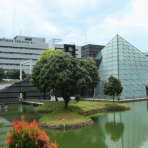 blog