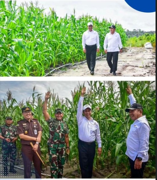 Menteri Pertanian Tepis Isu Miring Food Estate Gunung Mas