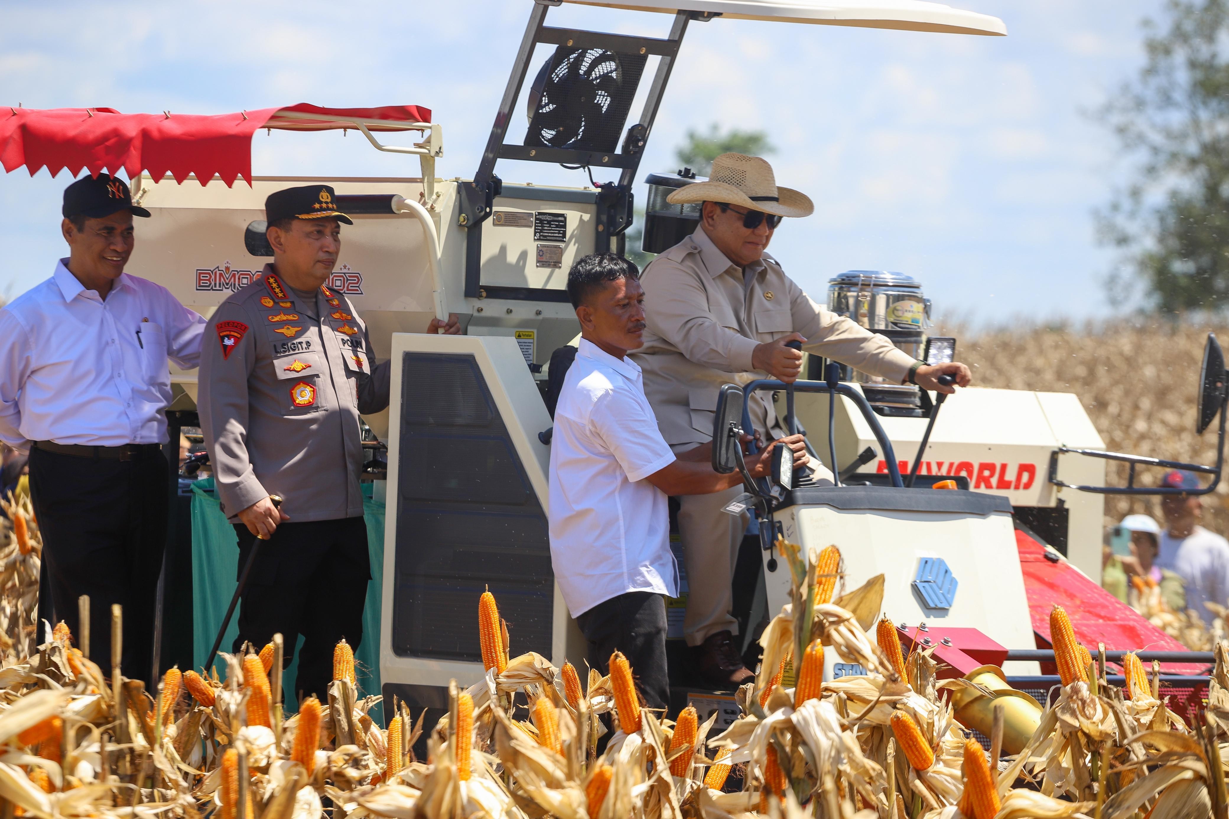 Didampingi Mentan Amran, Presiden Prabowo Pimpin Panen Raya Jagung Di Kalbar