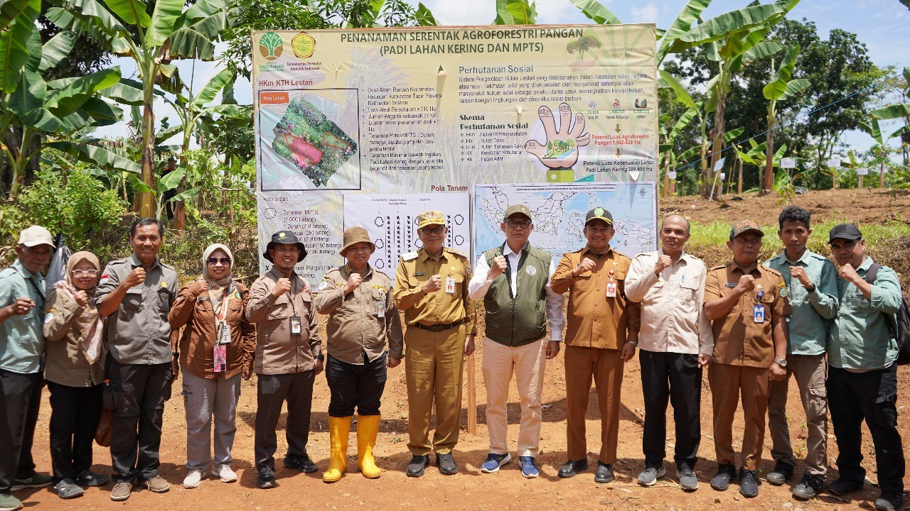 Dukung Swasembada Pangan Nasional, BBPP Binuang Tanam Serentak Agroforestri Pangan